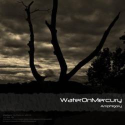 Water On Mercury : Amphigory